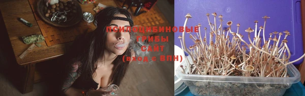 бошки Абаза