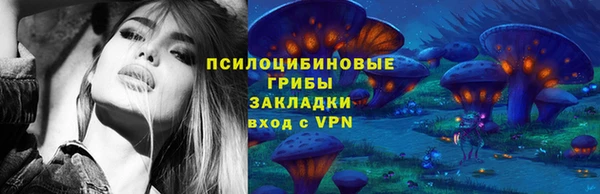бошки Абаза