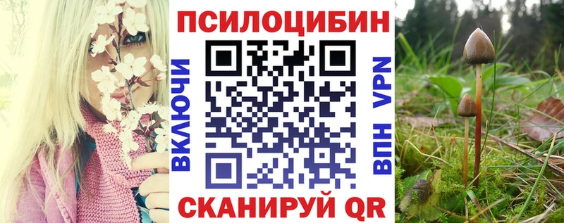 kraken ссылки  площадка состав  Галлюциногенные грибы GOLDEN TEACHER  Полярный 