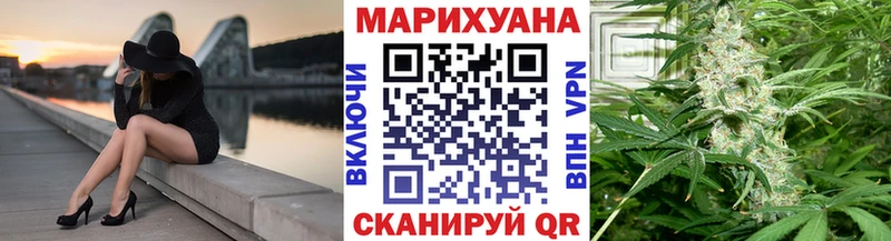 Шишки марихуана планчик  Полярный 